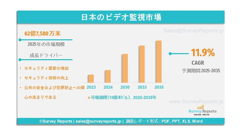 日本のビデオ監視市場グラフ 