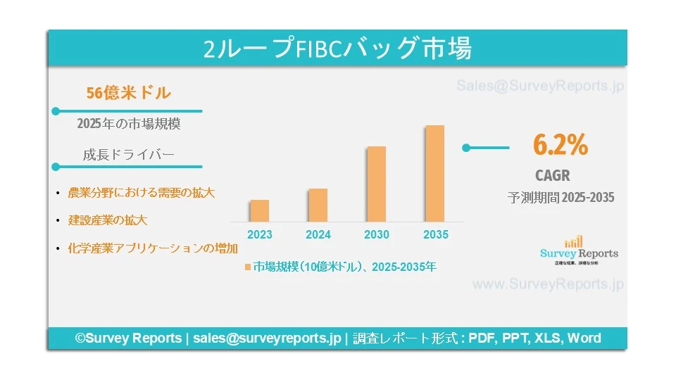 2ループFIBCバッグ市場